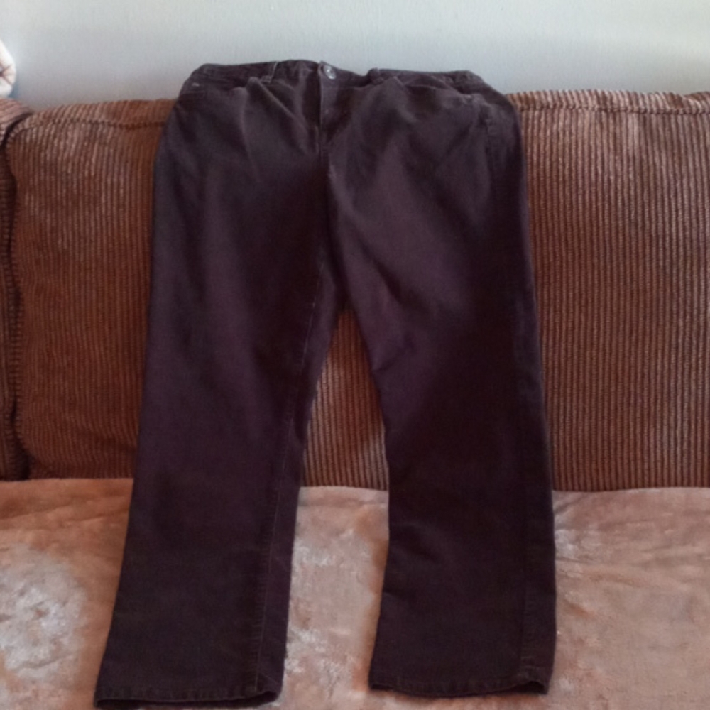 Bandolino brown pants